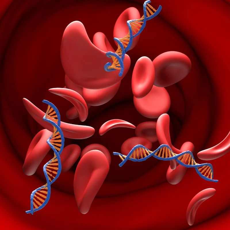 3D render of red blood cells and blue DNA double helix strands floating inside a blood vessel